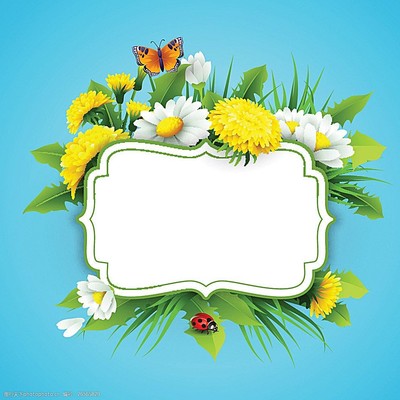 春日繁花 诗意背景中的色彩盛宴