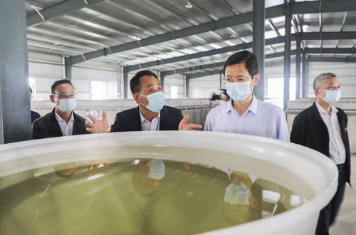 方正赴贵池区调研春耕备耕和特色农产品种植养殖工作 聚焦花卉产业发展