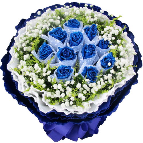 花店公司简介——苗木