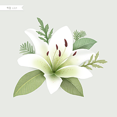 水彩花卉植物插画素材 艺术与自然的完美融合