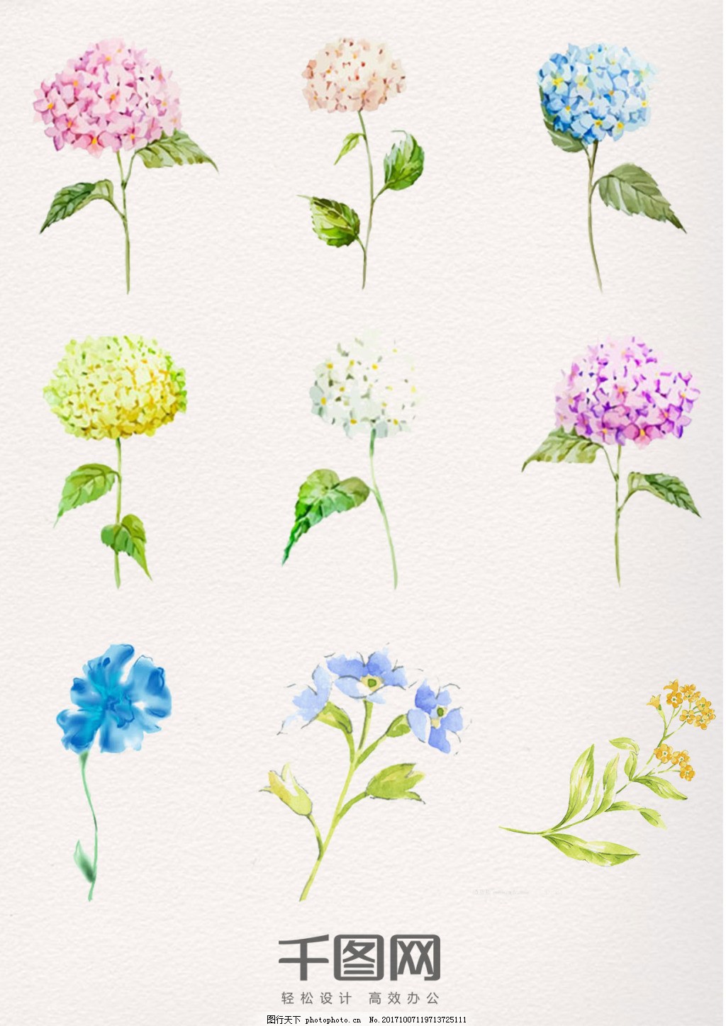 水彩植物花卉素材与苗木的美学探索